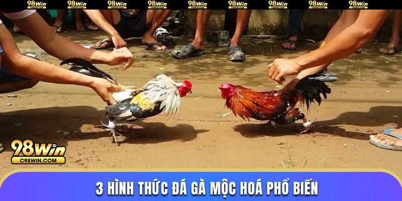 3 hình thức đá gà mộc hoá phổ biến