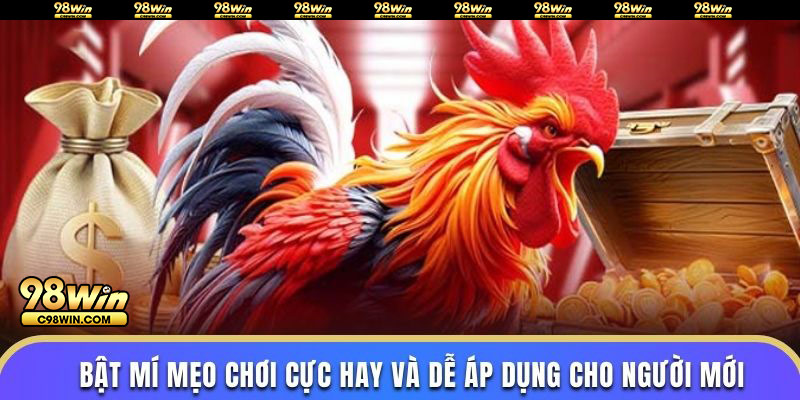 Bật mí mẹo chơi cực hay và dễ áp dụng cho người mới