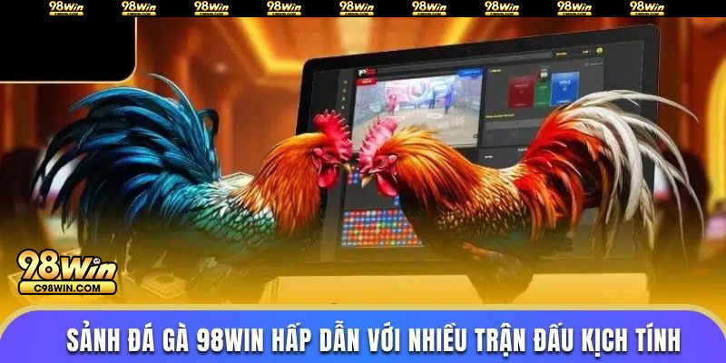 Sảnh đá gà 98WIN hấp dẫn với nhiều trận đấu kịch tính